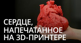 Новости высоких технологий: первое в мире сердце, напечатанное на 3D-принтере