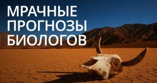 Новости высоких технологий: много мрачных прогнозов