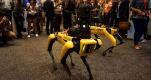 Механические собаки Boston Dynamics станут участниками боев на роботах