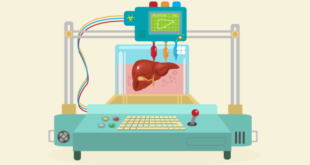 Новая технология позволяет печатать органы буквально за секунды