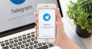 ТОП 10 Telegram-каналов — лучшая осенняя подборка