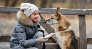 Как разговаривать с животными и понимать их?