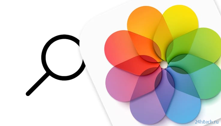 Как на iPhone правильно искать фото с определенными предметами, животными, объектами и местами