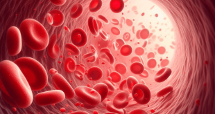 Ученые создали универсальную кровь, которую можно переливать независимо от группы